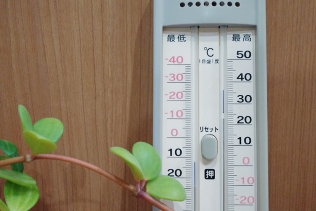 最低最高温度計】最低／最高気温で栽培管理！おすすめ4選 | aobablog